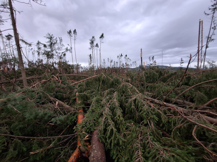 Naturgefahrentagung 26 Mittendrin